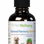 A bottle of Adrenal Harmony Gold for Dog Cushings by Pet Wellbeing, with a dropper cap and a label showing a dog and cat, supports healthy adrenal function in pets using herbal ingredients.