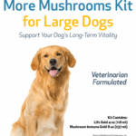 More Mushrooms Kit for Cancer - Large Dog by Pet Wellbeing